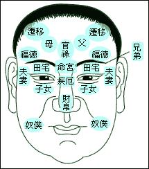 kan相面部子女宫怎么kan,面相上的子女宫在什么位置