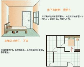 讲述风水的书,风水学案例
