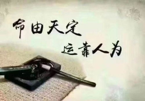 1. 个人选择：像煎饼果子摊的菜花调配