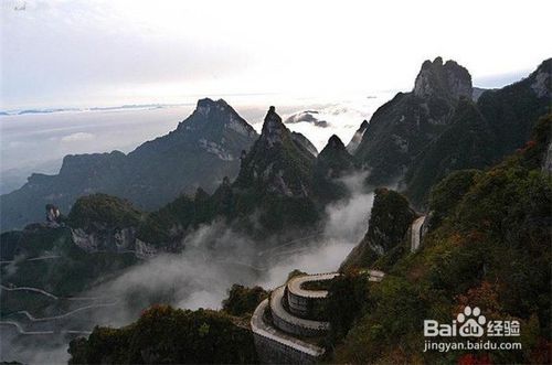 金佛山：四季变换的调色盘