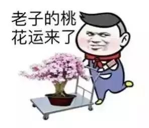 双子座：话痨附体
