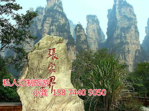 2026年最新门票政策大曝光
