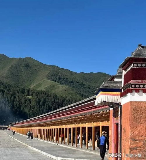 第一节：老鼠与大象的游戏