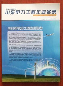 起名现状：土到掉渣的电力圈