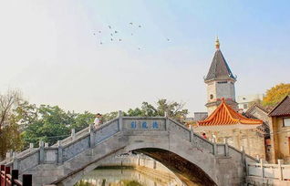 三、神秘人物现身——谁是那位戴帽子的老人？