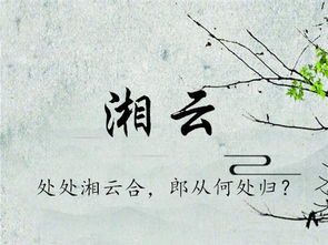 岳姓女孩免费起名——随手拈来随意挑挑