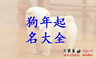三、噪音时间段：我想给你起个啥？——随性而不失风格