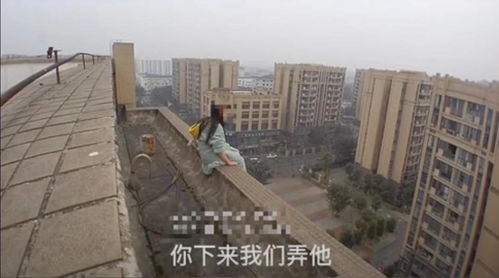 上海达安花园风水怎么样,2020年上海达安花园坠楼案