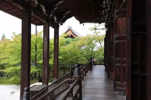 道观与寺庙的宁静之美