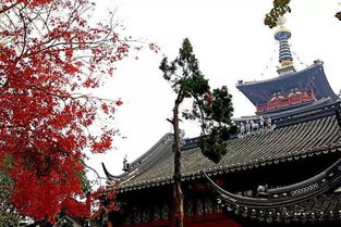 温馨提示：