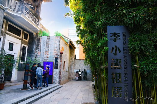 1.1 大街小巷的“免费”演出