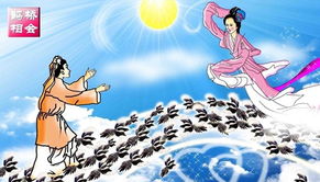 牛郎织女：天啊！原来他们是这样...