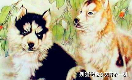 3. 狗——刑太岁，好像被捕快抓住了似的！