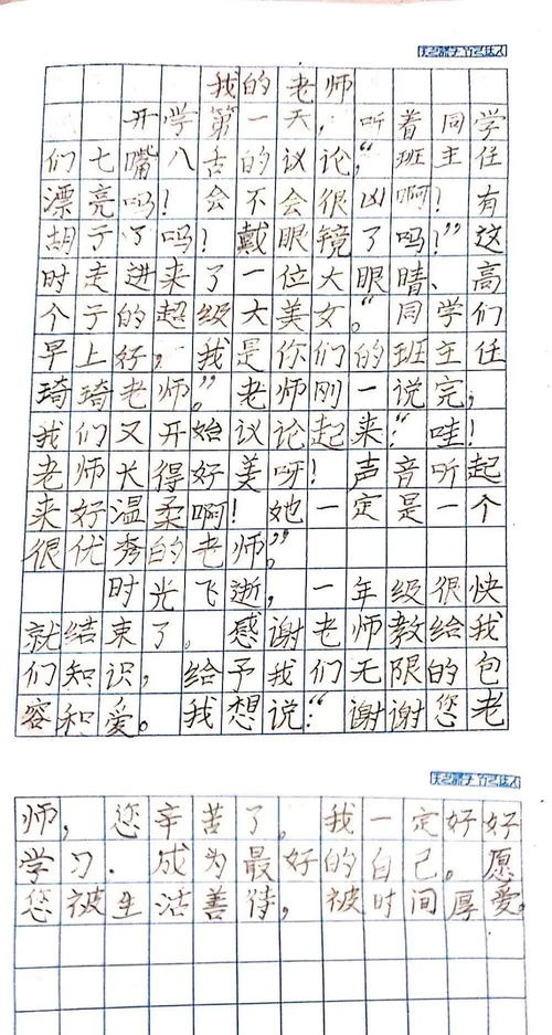 干支流年的小秘密