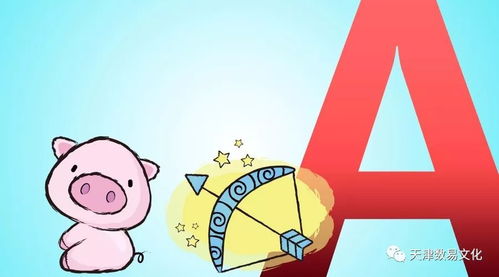 2011年属兔狮子座和属兔射手座在2026年11月的运势分别如何？