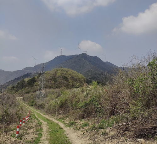 东莞银屏山：一场充满