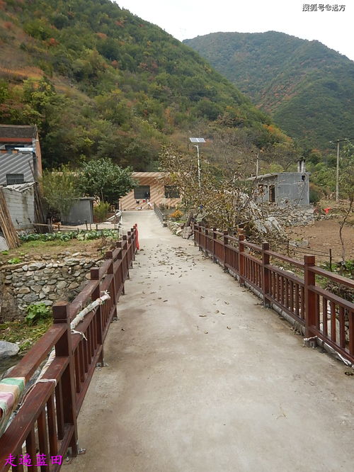 探寻屏山书楼的独特魅力