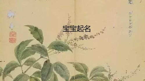 属虎宝宝取名，诗经中的名字能否改写成虎宝宝专用大全？