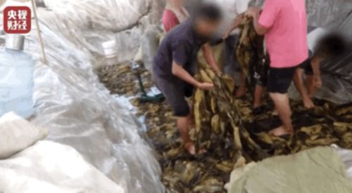 口臭与脚气——身体发出的风水警报