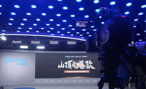 一、 行业特征解码：根植于土壤的灵感