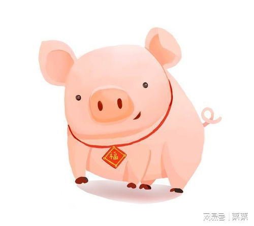 今年属猪的生肖是什么，属猪的幸运属相是什么意思？