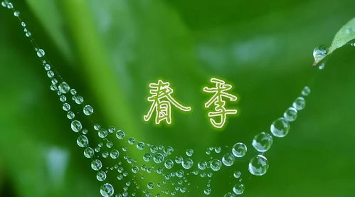 五、 不按套路出牌——自创奇葩占卜法（随意玩玩）