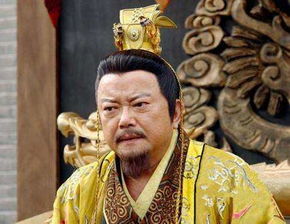 历史持续发展评价：一个被过度解读的人物