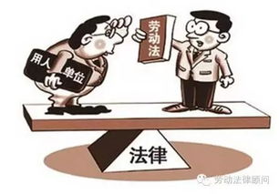 #4 实际操作步骤——乱七八糟混搭指南（请自行挑选）