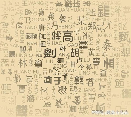 “君”字下的秘密花园：儒雅与智慧的结合