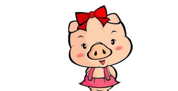 属猪女和属鼠男相克吗？婚姻配对是否合适？