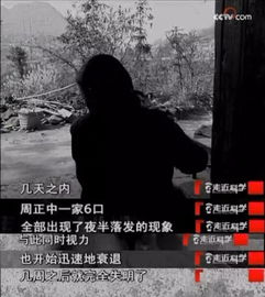 一、平静的夜晚？也许只是假象