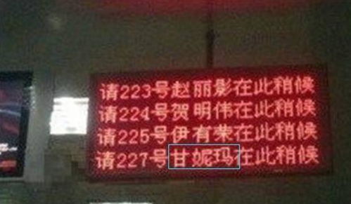 戴姓2025年六月初五男孩取名：别出心裁的“奇妙”选择（别怕，有点乱！）
