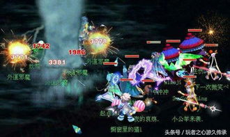 #随机噪声# 双面龟与癞皮蛇同居奇谈