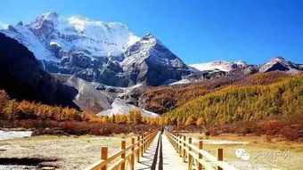 生肖星座：揭秘个性与命运的密码