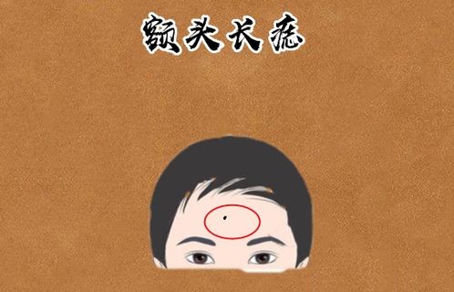 女命身弱之人，是否有可能同时拥有官运和财运？