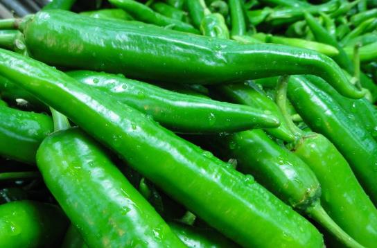 梦见青辣椒或辣椒树上结满青辣椒，预示着什么好事即将发生？