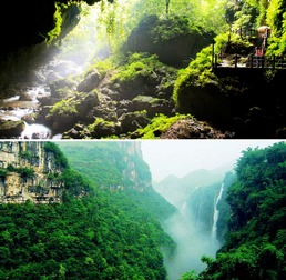 震惊！巴马居然藏着这些不为人知的秘密