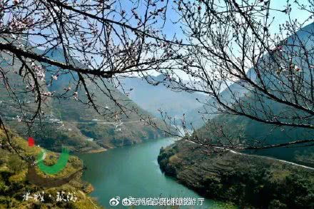 花开得正艳吗？