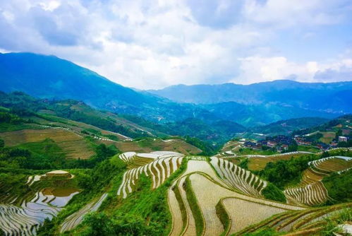 交通攻略：贵南高铁开通后，东北银去河池比去姥姥家还快