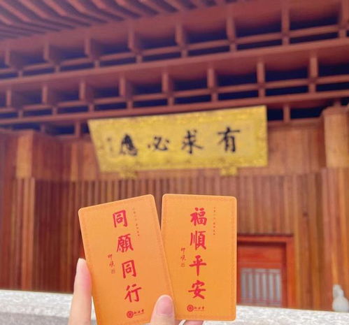符箮与试管婴儿的 “并行不悖”