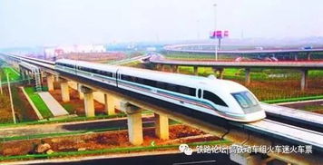 对抗“高铁焦虑”：为什么有人宁愿“慢下来”？