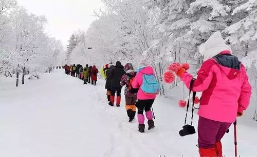 六、住哪里？这是个头疼的问题