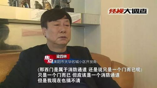 谈吐风雅打一生肖，谈吐风雅打一数字指的是什么生肖和数字？