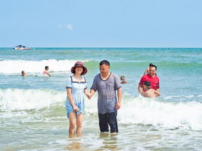 赶海：寻找海洋的小惊喜