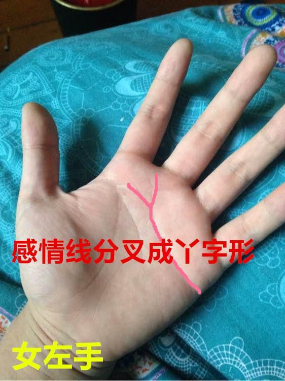 如何通过观察女性手掌纹路中的感情线来判断感情状况，以及哪种手相需要注意健康问题？