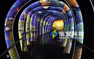 三、情感过载：泪目还是笑场？