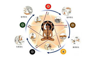 汉字五行划分在相算命书中是如何体现的？