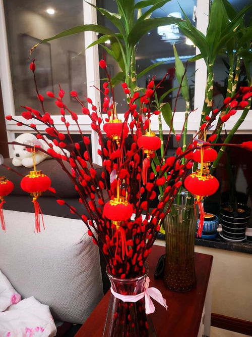 摆银柳干花时有哪些风水禁忌需要注意？