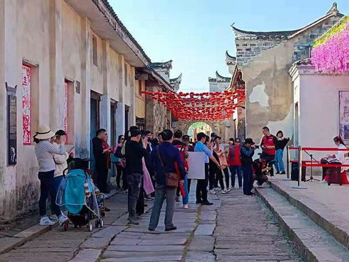 四、 美食之旅——味蕾大闹天宫