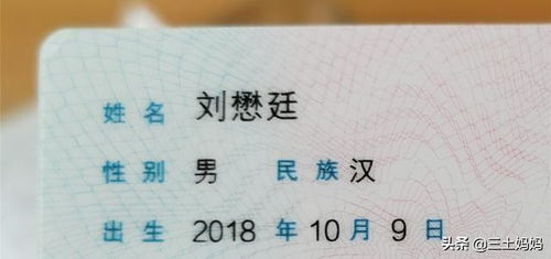 别忘了噪音和反差萌
